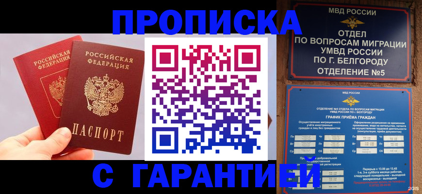прописка 2025 в Ардоне